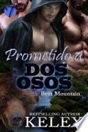 Prometido a dos osos