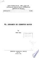 Publicación
