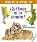 ¿Qué Hacen Estos Animales?