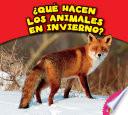 ¿Qué hacen los animales en invierno?