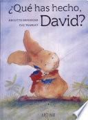 ¿Qué has hecho, David?