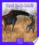 ¡ ¡qué Lindo Bebé!