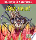 ¿Qué Sigue?