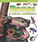 Ranas y Otros Anfibios
