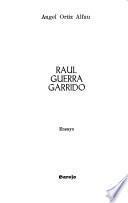 Raúl Guerra Garrido