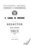 Redactor de la H. Cámara de Diputados (Sesiones reservadas).