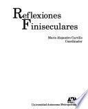 Reflexiones finiseculares