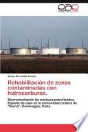 Rehabilitación de Zonas Contaminadas Con Hidrocarburos