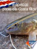Revista Acuariofilia Total Edición #18