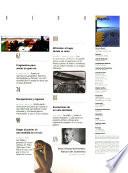 Revista Bigott