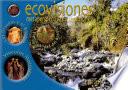 Revista Ecovisiones n4