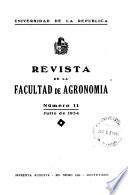 Revista
