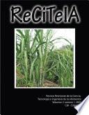 Revista RECITEIA Vol 5 No.1