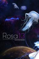 Rosa 13