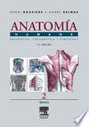 Rouvière, H., Anatomía Humana Descriptiva, topográfica y funcional, 11a ed. ©2005 Últ. Reimpr. 2006