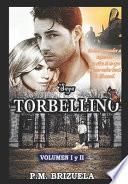 Saga Torbellino