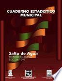 Salto de Agua estado de Chiapas. Cuaderno estadístico municipal 1997