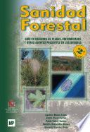 Sanidad forestal