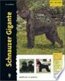 Schnauzer Gigante