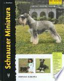 Schnauzer Miniatura/ Miniature Schnauzer
