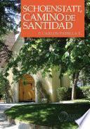 Schoenstatt, Camino de Santidad
