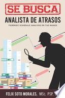 Se Busca Analista de Atrasos