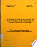 Síntesis de los perfiles de área de los valles de Yoro e informe del seminario. Taller sobre perfiles de área y desarrollo de los valles Sulaco y Victoria