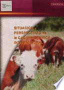 Situacion Y Perspectivas de la Cadena Carnica Internacional