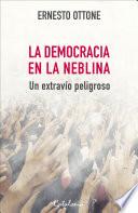 ﻿La democracia en la neblina