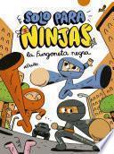Solo para ninjas: La furgoneta negra