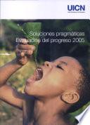 Soluciones pragmáticas : evaluación del progreso 2005