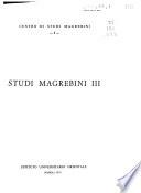 Studi magrebini