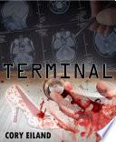 Terminal