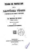 Tesoro de protección en la Santísima Vírgen, ó, Estímulos de amor y devocion á la Madre de Dios señora nuestra