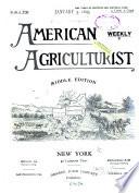 The American Agriculturist