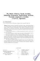 The Moths of Borneo: Family Arctiidae, Subfamilies Syntominae, Euchromiinae Arctiinae; Noctuidae misplaced in Arctiidae (Camptoloma, Aganainae)