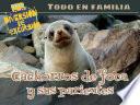 Todo en familia