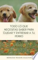 Todo Lo Que necesitas Saber Para Cuidar Y Entrenar A Tu Perro