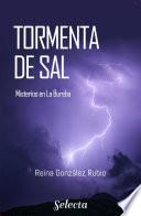 Tormenta de sal (Trilogía Misterios en la Bureba 1)