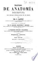 Tratado de anatomia descriptiva con figuras intercaladas en el texto