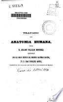 Tratado de anatomía humana