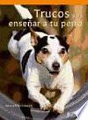 Trucos para enseñar a tu perro