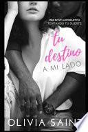 Tu Destino a Mi Lado