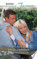 Un amor en el destino