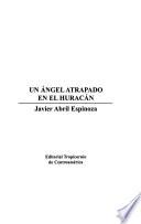 Un ángel atrapado en el huracán
