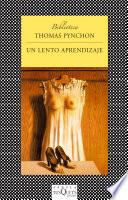 Un lento aprendizaje
