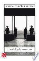 Un olvidado asombro
