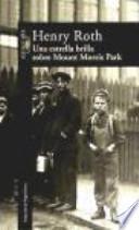 Una estrella brilla sobre Mount Morris Park