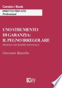 Uno strumento dì garanzia: il pegno irregolare