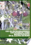 Uso de Microorganismos Con Potencial Como Biofertilizantes en El Cultivo de Mora